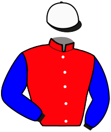 casaque portée par Duvaldestin Théo jockey du cheval de course NESPERA, information pmu ZETURF casaque portée par Duvaldestin Théo jockey du cheval de course NESPERA, information pmu ZETURF