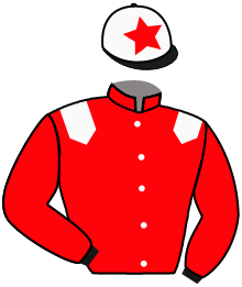 casaque portée par Vilchien A. jockey du cheval de course AMAGI, information pmu ZETURF casaque portée par Vilchien A. jockey du cheval de course AMAGI, information pmu ZETURF