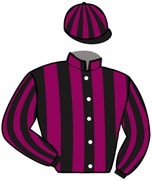 casaque portée par Thomain D. jockey du cheval de course MIDNIGHT SPECIAL, information pmu ZETURF casaque portée par Thomain D. jockey du cheval de course MIDNIGHT SPECIAL, information pmu ZETURF