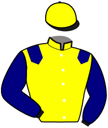 casaque portée par Raffin E. jockey du cheval de course NAUTILIO BELLO, information pmu ZETURF casaque portée par Raffin E. jockey du cheval de course NAUTILIO BELLO, information pmu ZETURF
