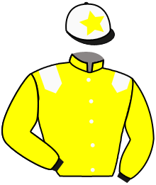 casaque portée par Remoue Pie. jockey du cheval de course CAPTAIN EAGLE, information pmu ZETURF casaque portée par Remoue Pie. jockey du cheval de course CAPTAIN EAGLE, information pmu ZETURF