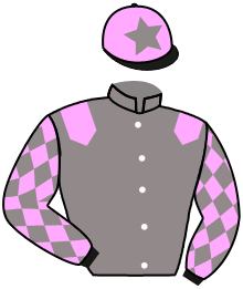 casaque portée par Rousset Y. jockey du cheval de course FIRST ONE, information pmu ZETURF casaque portée par Rousset Y. jockey du cheval de course FIRST ONE, information pmu ZETURF