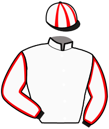 casaque portée par Robin B. jockey du cheval de course NIKITA GOLD, information pmu ZETURF casaque portée par Robin B. jockey du cheval de course NIKITA GOLD, information pmu ZETURF
