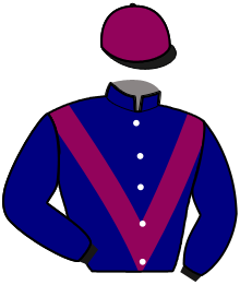 casaque portée par Mottier M. jockey du cheval de course NORD AMERICAINE, information pmu ZETURF casaque portée par Mottier M. jockey du cheval de course NORD AMERICAINE, information pmu ZETURF