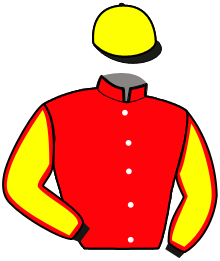 casaque portée par Raffin E. jockey du cheval de course LAWMAN, information pmu ZETURF casaque portée par Raffin E. jockey du cheval de course LAWMAN, information pmu ZETURF