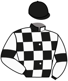 casaque portée par Lebourgeois Y. jockey du cheval de course NEW SUCCESS, information pmu ZETURF