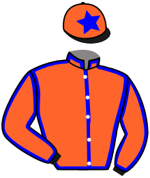 casaque portée par Zuliani A. jockey du cheval de course KING LE DUN, information pmu ZETURF casaque portée par Zuliani A. jockey du cheval de course KING LE DUN, information pmu ZETURF
