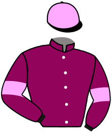 casaque portée par Mayeur R. jockey du cheval de course NOMADE, information pmu ZETURF casaque portée par Mayeur R. jockey du cheval de course NOMADE, information pmu ZETURF