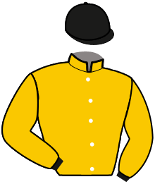 casaque portée par Brouwer D. jockey du cheval de course GREGOR, information pmu ZETURF casaque portée par Brouwer D. jockey du cheval de course GREGOR, information pmu ZETURF