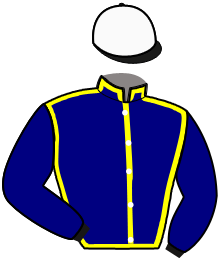 casaque portée par Abrivard M. jockey du cheval de course VALLATONIAN, information pmu ZETURF casaque portée par Abrivard M. jockey du cheval de course VALLATONIAN, information pmu ZETURF
