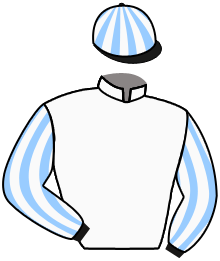 casaque portée par Boutin Hug. jockey du cheval de course SEA THE WOOD, information pmu ZETURF casaque portée par Boutin Hug. jockey du cheval de course SEA THE WOOD, information pmu ZETURF