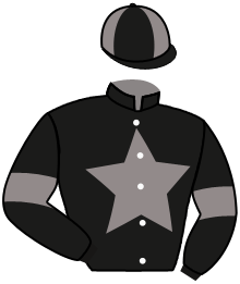 casaque portée par Journiac H. jockey du cheval de course FANATICAL, information pmu ZETURF casaque portée par Journiac H. jockey du cheval de course FANATICAL, information pmu ZETURF