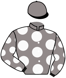 casaque portée par Meury G. jockey du cheval de course LA CHUNGA, information pmu ZETURF casaque portée par Meury G. jockey du cheval de course LA CHUNGA, information pmu ZETURF