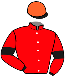 casaque portée par Desmigneux F. jockey du cheval de course MY BLACK CADENCE, information pmu ZETURF