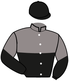 casaque portée par Bonne D. jockey du cheval de course GOODWIN ZET, information pmu ZETURF