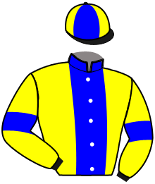 casaque portée par Lagadeuc F. jockey du cheval de course IXEL DE L'AUMOY, information pmu ZETURF