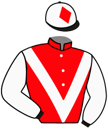 casaque portée par Zuliani A. jockey du cheval de course EARL OF SHANNON, information pmu ZETURF
