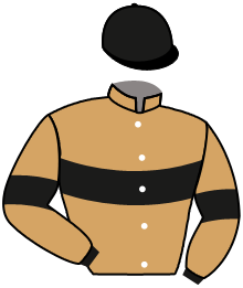 casaque portée par Beaurain T. jockey du cheval de course PABLO, information pmu ZETURF
