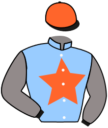 casaque portée par Gallon D. jockey du cheval de course HOLIGAN DU BERLAIS, information pmu ZETURF