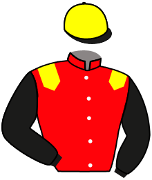 casaque portée par Mayeur R. jockey du cheval de course KIMFLY, information pmu ZETURF