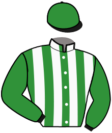 casaque portée par Lenoir M. jockey du cheval de course HONEY KING, information pmu ZETURF