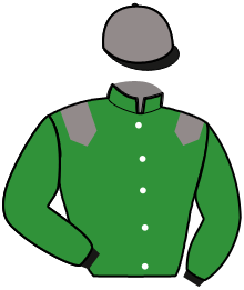 casaque portée par Lacombe Y. jockey du cheval de course ICARE DU BERYL, information pmu ZETURF