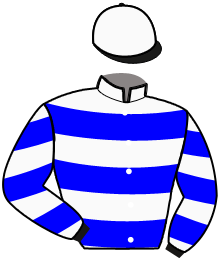 casaque portée par Bodin Ale. jockey du cheval de course KRIS MARTIN, information pmu ZETURF