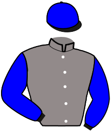 casaque portée par Collet Mlle M. jockey du cheval de course HEPICETOU, information pmu ZETURF