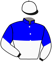casaque portée par Poisson F. jockey du cheval de course NA BELLE KATIE, information pmu ZETURF