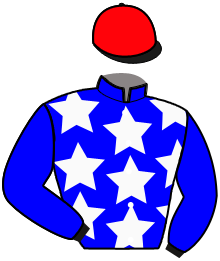 casaque portée par Guerineau F. jockey du cheval de course MIMO DU MESNIL, information pmu ZETURF