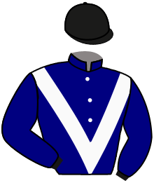 casaque portée par Beaurain T. jockey du cheval de course LILI D'ANGOS, information pmu ZETURF casaque portée par Beaurain T. jockey du cheval de course LILI D'ANGOS, information pmu ZETURF