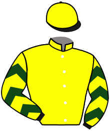casaque portée par Hardouin E. jockey du cheval de course BOAVISTA, information pmu ZETURF