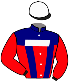 casaque portée par Lagadeuc F. jockey du cheval de course FUSION EAGRA, information pmu ZETURF