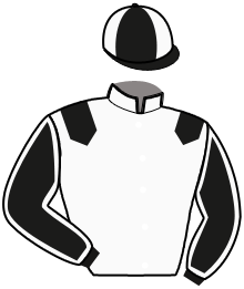 casaque portée par Gelormini G. jockey du cheval de course MAX OCCAGNES, information pmu ZETURF