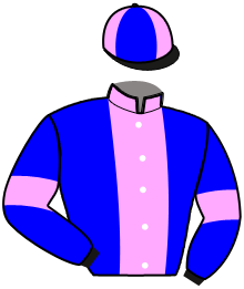 casaque portée par Andre A. jockey du cheval de course MAGUEN DAIRPET, information pmu ZETURF