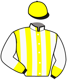 casaque portée par Raffin E. jockey du cheval de course MOONSTAR JYL, information pmu ZETURF casaque portée par Raffin E. jockey du cheval de course MOONSTAR JYL, information pmu ZETURF