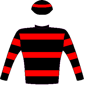 casaque portée par W Kennedy jockey du cheval de course UPSKILLED (ZA), information pmu ZETURF casaque portée par W Kennedy jockey du cheval de course UPSKILLED (ZA), information pmu ZETURF