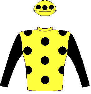 casaque portée par M Yeni jockey du cheval de course ALL OF ME (ZA), information pmu ZETURF casaque portée par M Yeni jockey du cheval de course ALL OF ME (ZA), information pmu ZETURF