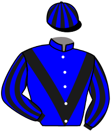 casaque portée par Orain A. jockey du cheval de course IZIA DE LA BRUNIE, information pmu ZETURF