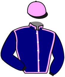 casaque portée par Gastout Mme Suz. jockey du cheval de course NIPPER, information pmu ZETURF casaque portée par Gastout Mme Suz. jockey du cheval de course NIPPER, information pmu ZETURF