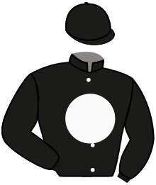 casaque portée par Foley S. jockey du cheval de course BLUEDRUM, information pmu ZETURF