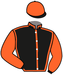 casaque portée par Trullier T. jockey du cheval de course A L'HEURE, information pmu ZETURF