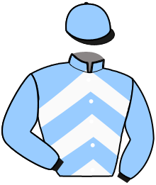casaque portée par Beaufils Ernault Mme D. jockey du cheval de course KISCOOL DU GOLLIER, information pmu ZETURF