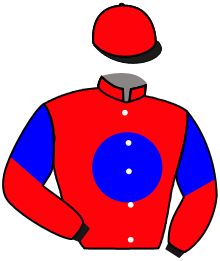 casaque portée par Foley S. jockey du cheval de course BAY OF SANIBEL, information pmu ZETURF casaque portée par Foley S. jockey du cheval de course BAY OF SANIBEL, information pmu ZETURF