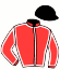 casaque portée par Sorel J. Ch. jockey du cheval de course DODU DE BOIS JARET (FR), information pmu ZETURF