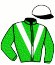 casaque portée par Molins Mlle A. jockey du cheval de course BE EARNEST (FR), information pmu ZETURF