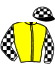 casaque portée par Mandel G. jockey du cheval de course CALAS QUEEN, information pmu ZETURF