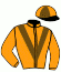 casaque portée par Boutin Hug. jockey du cheval de course MAUBEUGE, information pmu ZETURF