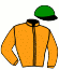 casaque portée par Pouchin A. jockey du cheval de course GIDEON GREY, information pmu ZETURF
