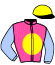 casaque portée par Hardouin E. jockey du cheval de course GENERAL MOON, information pmu ZETURF